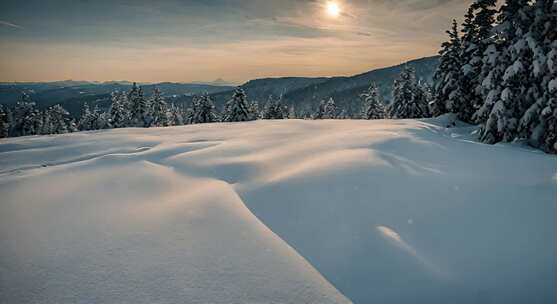 冬天雪地特写雪天风景下雪风光唯美冬季雪景