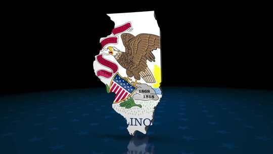 伊利诺伊州选举背景HD-7包