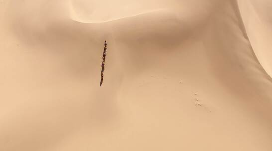 沙漠骑骆驼内蒙古