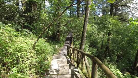 林间石板小径，扶手古朴的自然风景