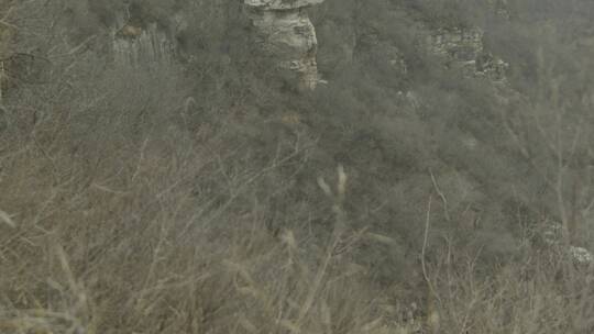 4k w1 雾中山林白天实拍空境视频素材模板下载