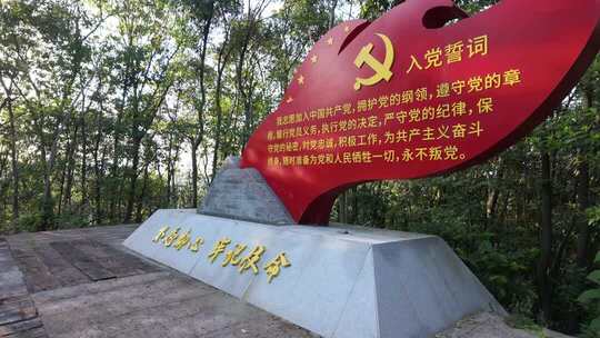 入党宣誓党建红色旗帜