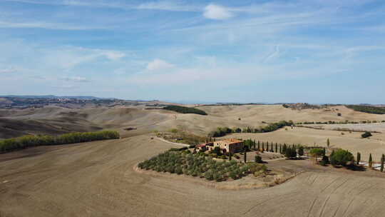 Val d'Orcia Cypress