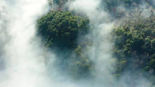 高山森林晨曦云海晨雾航拍