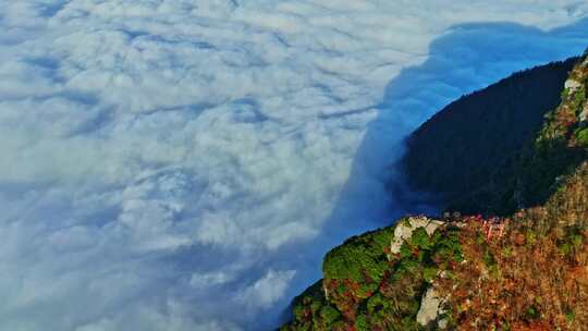 大气航拍巫峡云海红叶