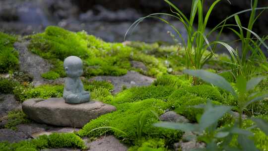 禅意空间|阳光斑驳映佛像，绿荫溪流话禅心