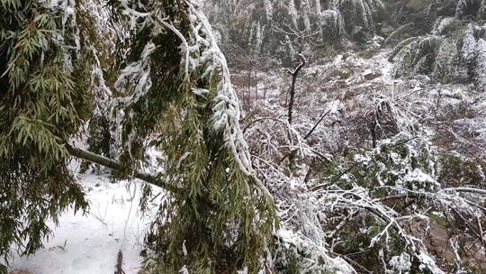 湘南郴州仰天湖高山4K雪景5