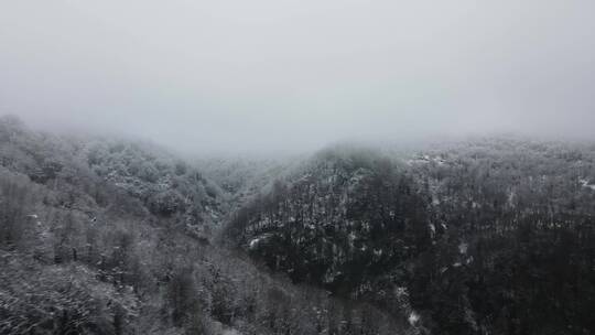 恶劣天气下的山区景观