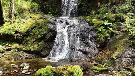 大山深处原始森林热带丛林河流小溪