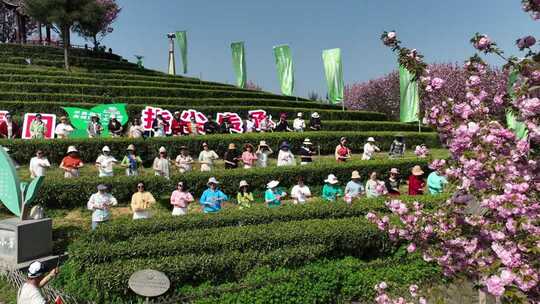 茶园人群活动场景