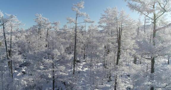 零下40多度的低温航拍大兴安岭冰雪雾凇