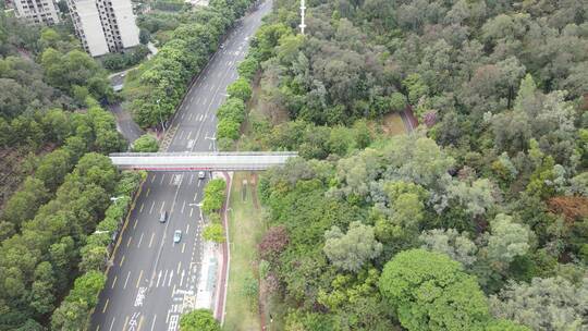 山林间道路