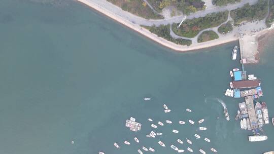 航拍大海沙滩海岸线