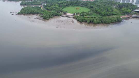 深圳湾退潮滩涂航拍