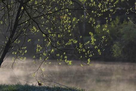 平遥旧梦 安逸 箫弦调 古城剧 文旅片