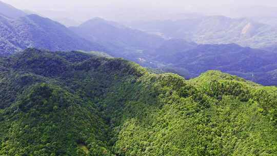 航拍森林树木青山山脉自然风景