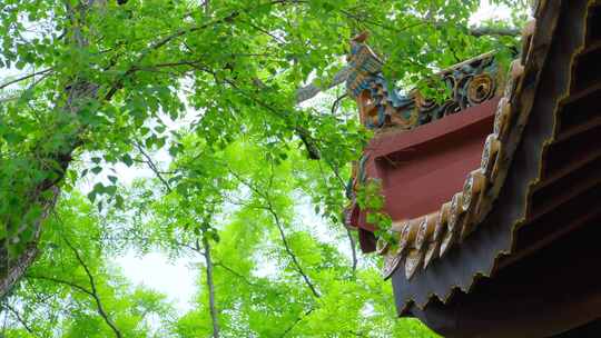 中式古建筑飞檐翘角屋檐一角惊鸟铃