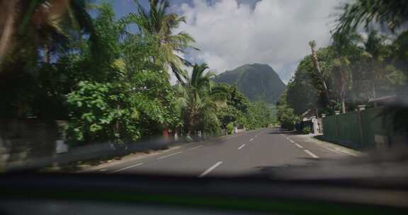 驾驶、挡风玻璃Pov、道路、棕榈树