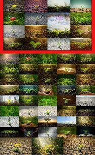 植物生长春天生命复苏生机希望种子发芽顽强高清在线视频素材下载