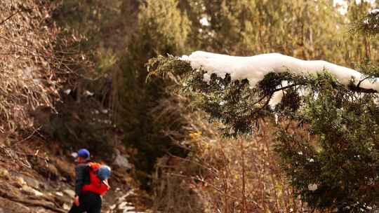 攀登岷山山脉雪宝顶雪山的登山者徒步进山