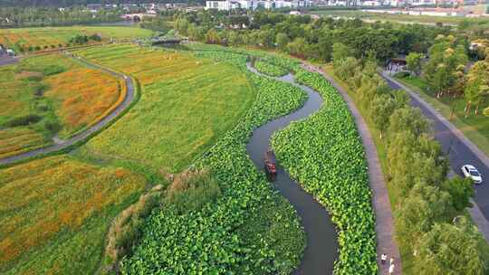 杭州湘湖十里荷塘江南夏天荷花风景航拍