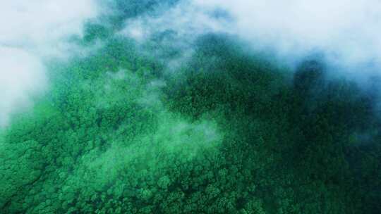 航拍云雾缭绕山林云海景观