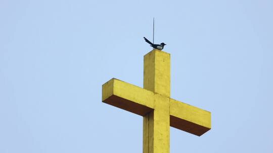 十字架和鸟儿视频素材模板下载