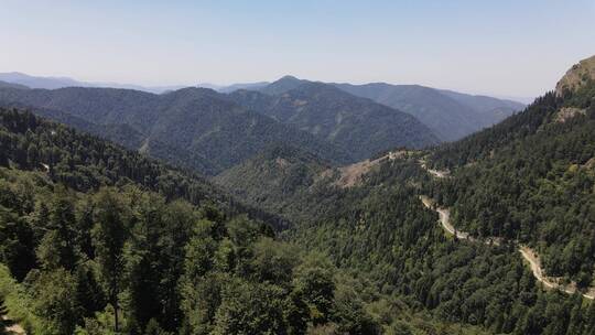 航拍山脉中的森林