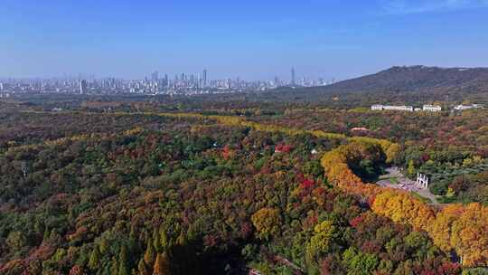 江苏南京中山陵灵山风景区音乐台秋色航拍