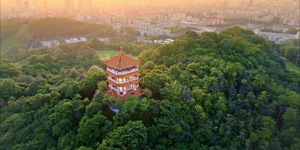 航拍夕阳下的广州麓湖公园