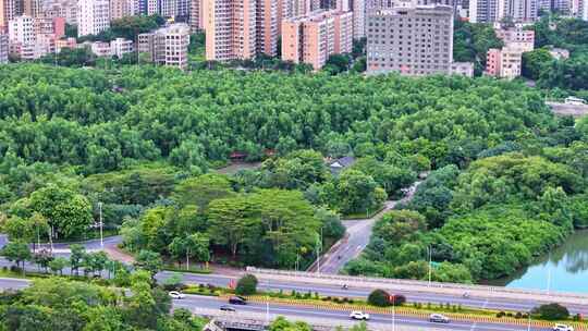 惠州大亚湾红树林公园城市中的绿地与高楼