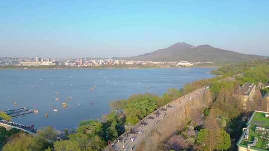 南京市玄武区玄武湖景区古鸡鸣寺樱花盛开风