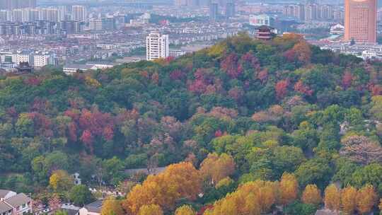 浙江绍兴越城区府山公园航拍城市风景大自然