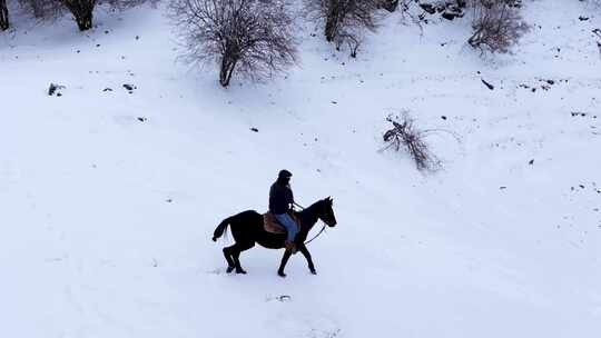 重庆武隆仙女山雪景骑马