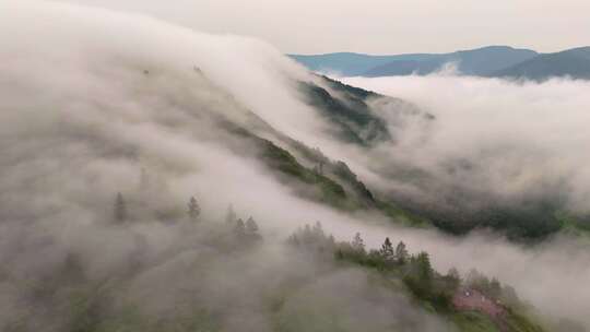 内蒙柴河望牛山赏心峰云海翻腾似仙境