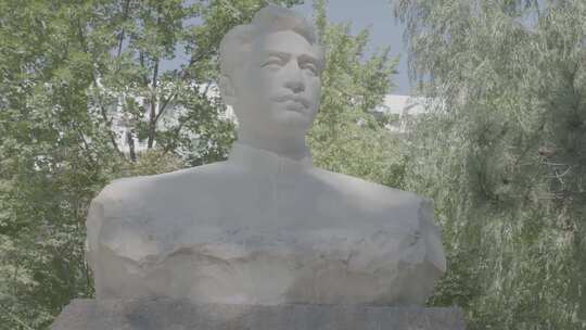 纪念彭雪枫将军雕塑