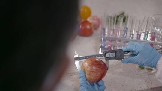 实验室教授做实验水果苹果蔬菜质检人员农业