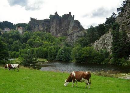 自然 大地的怀抱 春天 草原 自然 温 自然 大地的怀抱 春天 草原 自然 温