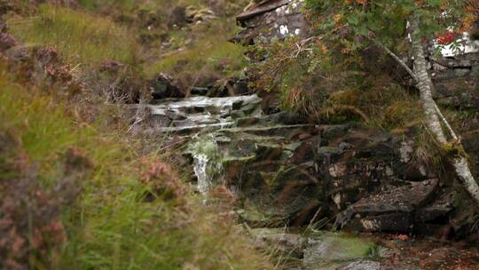 苏格兰阿普克洛斯半岛山涧水流视频素材模板下载