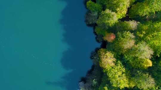 无人机拍摄的湖泊和森林