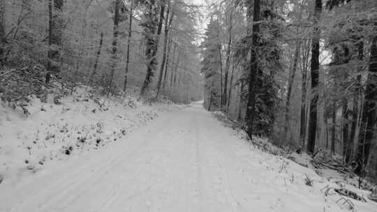 暴雪后的山林道路 自然风光视频素材模板下载