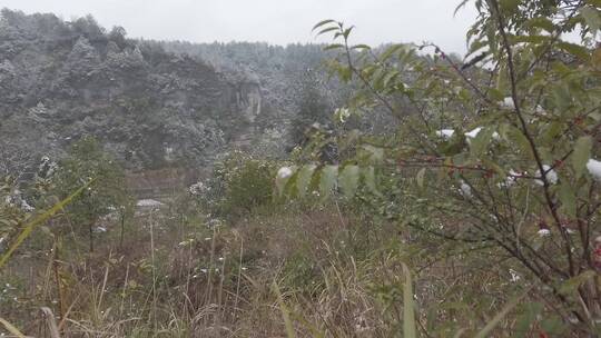 农村下雪场景，天然石佛，下水大佛