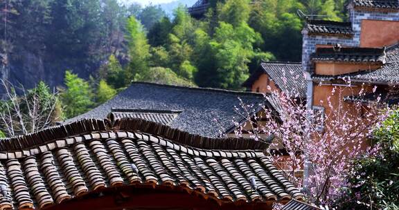 春天古风建筑旁盛开的桃花