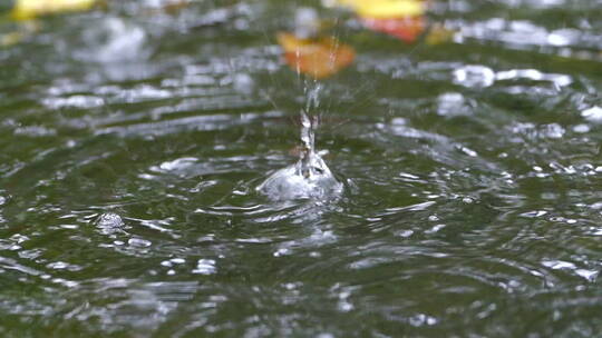 水面上的水滴波纹涟漪