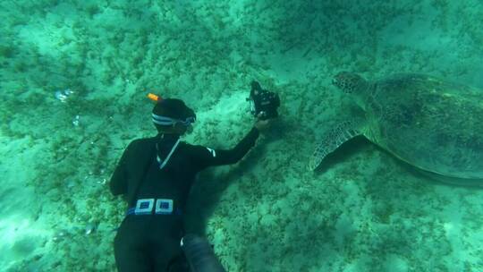 潜水员给一只海龟拍照视频素材模板下载