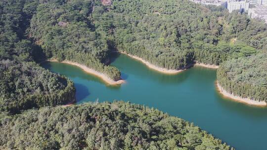 航拍深圳龙华高峰水库