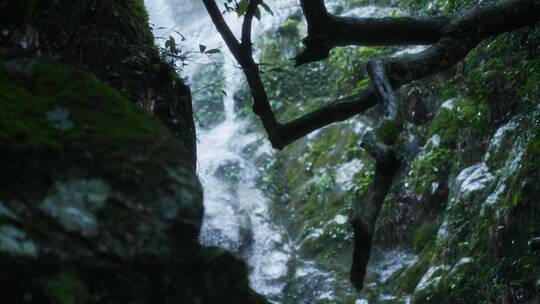 高清4K降水雨季山泉瀑布流水升格视频素材视频素材模板下载