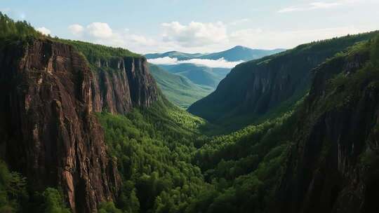 山谷森林自然风光俯瞰素材