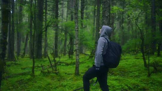 慢镜头摄影师拿着相机在原始森林中探索采风