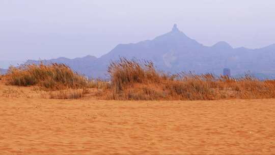 内蒙古乌海沙漠芦苇山峰远景成吉思汗雕像